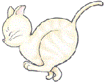neko